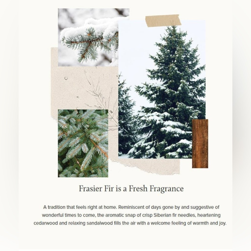 Thymes Frasier Fir Fragrant Refresher Oil - Aromatherapy Oil (1 fl oz) - Picture 5 of 5